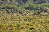 TANZANIA - Arusha National Park - 19